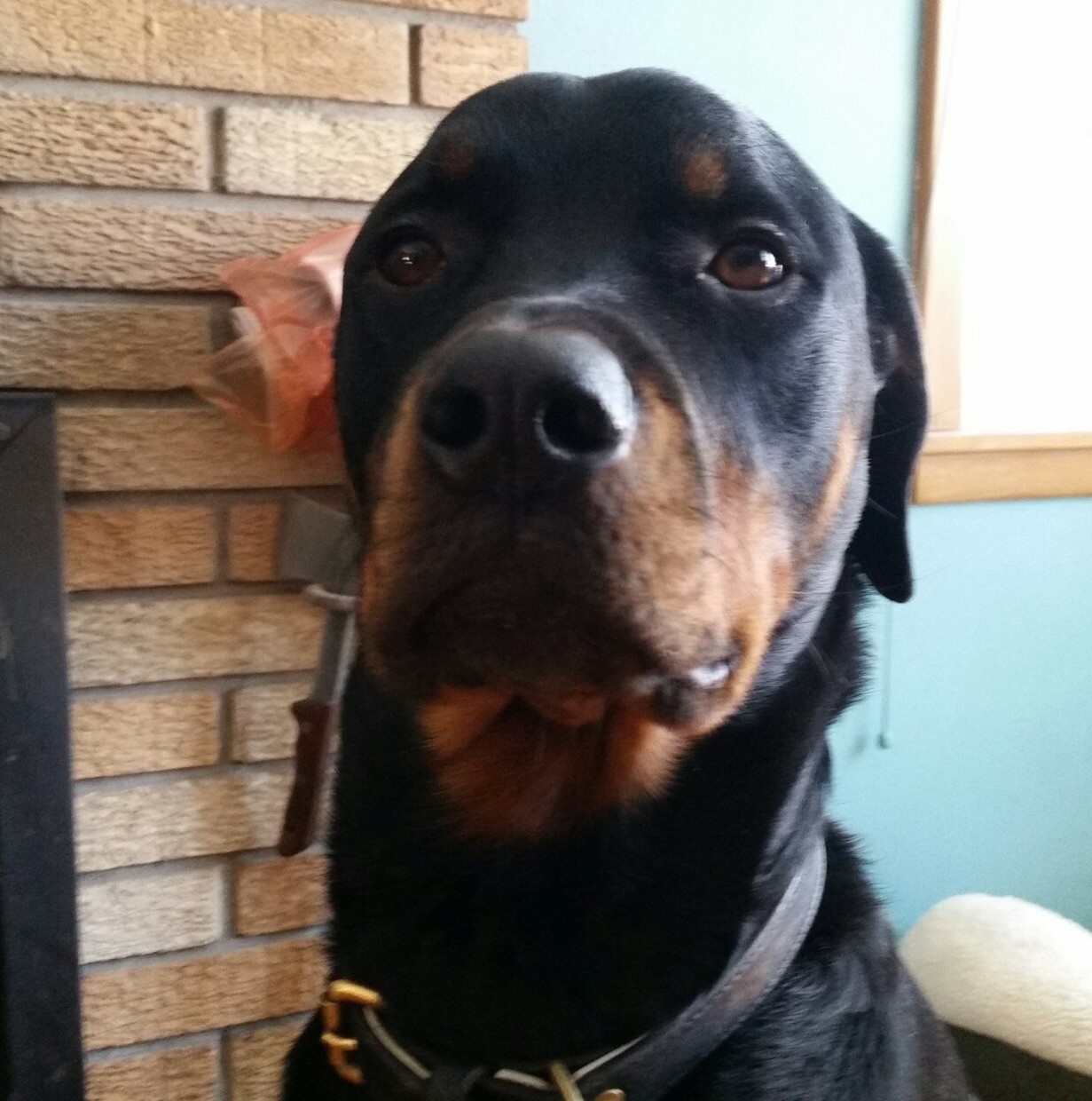 Kaiser